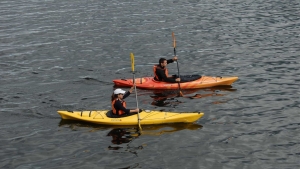 Kayak